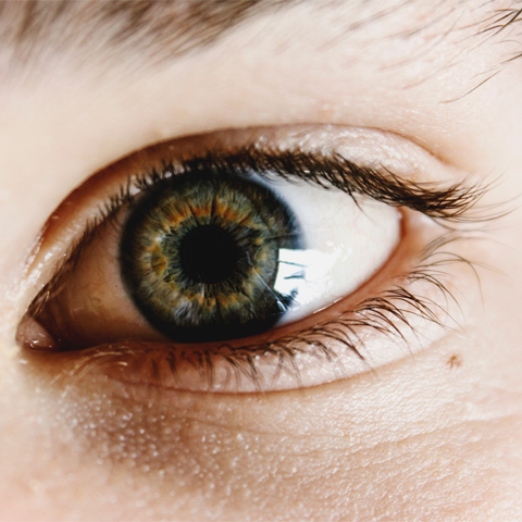 News - Doctors Hope For Blindness Cure