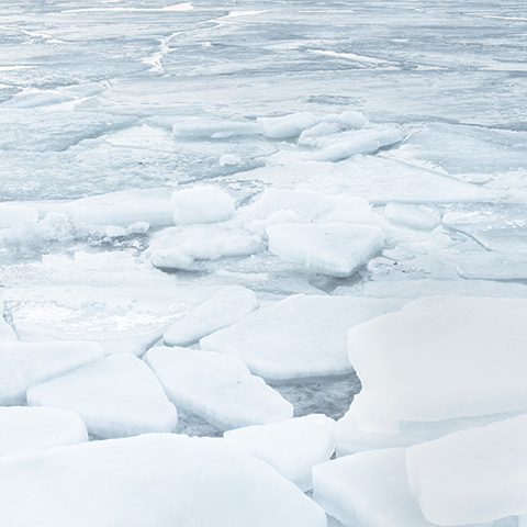 Telecare Climate Change